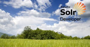 solr-developer-image
